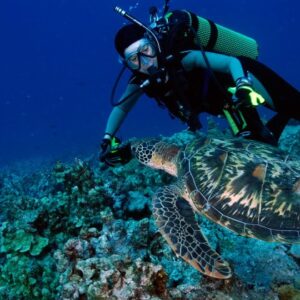 Dive the world’s deepest ocean