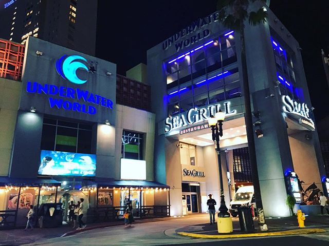 グアムのグルメ情報―水族館を持つレストラン「シーグリル」