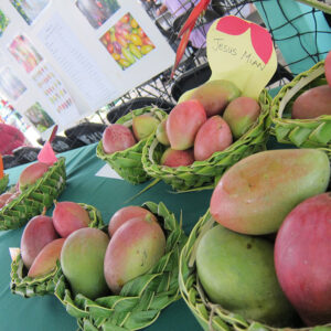 グアムの各村が開催するフェスティバルにレンタカーで行ってみよう！