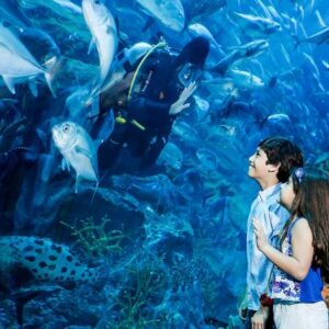 괌 필수 코스 – 유일한 괌의 수족관 언더 워터 월드