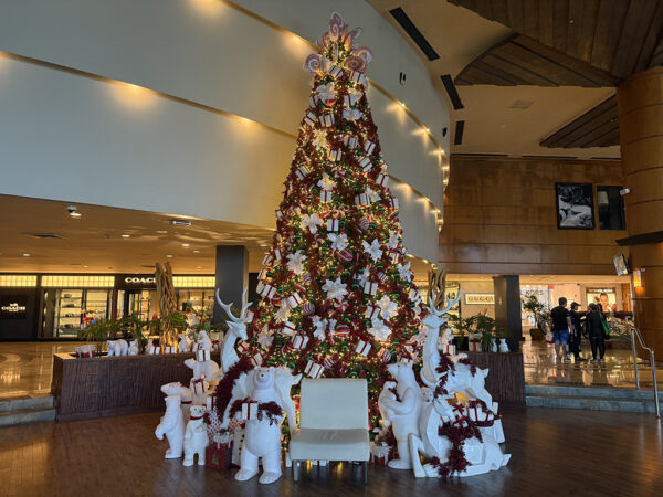Guam Travel Guide: Christmas in the Middle of Summer  Christmas Trees at Guam Hotels PART. 2﻿