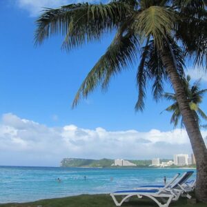 렌터카 이용 방법