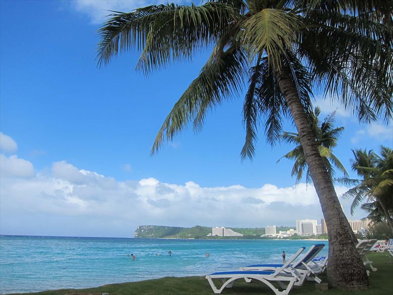 렌터카 이용 방법